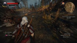 The Witcher 3 Wild Hunt(Ведьмак 3 Дикая Охота) Прохождение на русском Часть 4