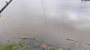 СТОЛЬКО РЫБЫ ЗА ОДИН РАЗ?! //ЛОВЛЯ на КОСЫНКИ//РЫБАЛКА на ПРУДУ