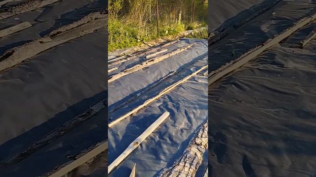 Вечер на даче.Все в работах. смотреть онлайн