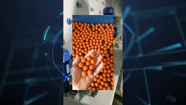 Линия для производства рыболовных бойлов / Модель 2020 г. / С примерами как выглядят готовые бойлы смотреть онлайн