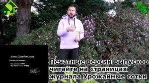 УДОБРЕНИЕ ЕЩЕ ЛУЧШЕ СКОРЛУПЫ. Ракушки для почвы и растений: плюсы и минусы необычного удобрения.