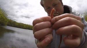 Texas Rig Fishing With Gulp Nightcrawlers