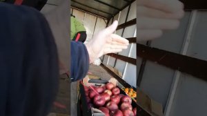 Загрузка продуктов для православного приюта Отрада Калужской области 2 видео