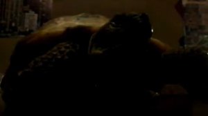 Как зделать домик для черепахи ( сухопутной).