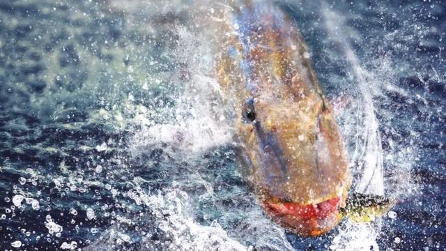 Плетёный шнур JigLine Ultra смотреть онлайн