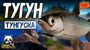 РР4/ рыбалка для души, ловим как универсал, общаемся 14.04.24
