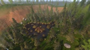 stalker anomaly обзор новой локации "мрачный лес"