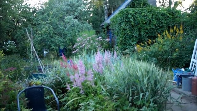 Мой прекрасный сад. Сад для лентяя - 6. Прошла неделя...My Beautiful Garden.