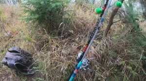 На 🎣ЖИВЦА. Щуки Радуют своими Атаками!!!