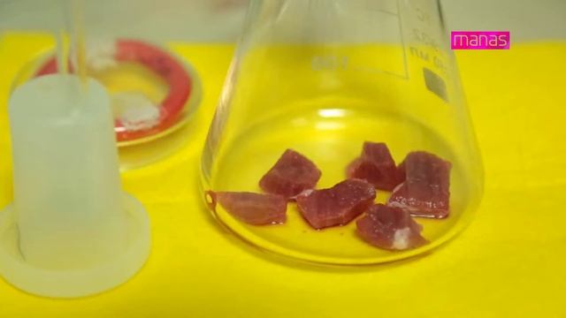 Исследования электронного носа!