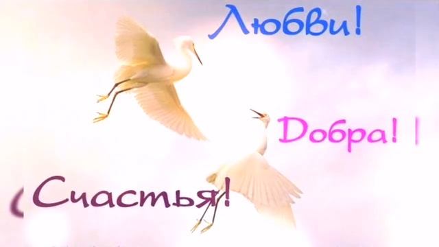 Добрые пожелания ??Муз.Открытка ??✨☘️