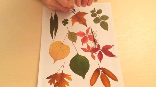 Декор стен DIY. Идея для декора комнаты. смотреть онлайн