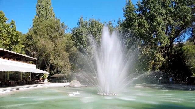 Дом книги и ресторан, который вас удивит смотреть онлайн