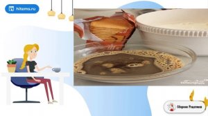 Торт из печенья Юбилейное без выпечки. Праздничные рецепты с фото