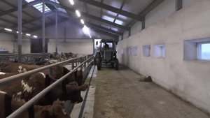 Смесители-кормораздатчики Колнаг для КРС, мини-ферма