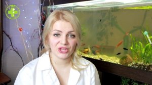 Почему Котенок Постоянно Мяукает и Пищит: Причины и Советы // Сеть Ветклиник Био-Вет