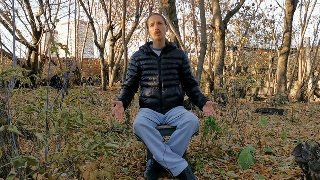 Общество "Выгребная яма". Современные реалии. Мир погряз в невежестве. Проснувшиеся люди.