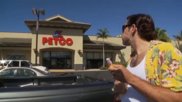 Ace Ventura Saves A Guinea Pig смотреть онлайн