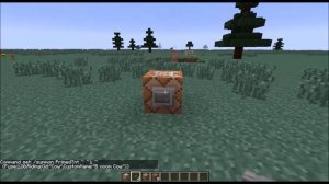 The Coolest Command Block Commands!