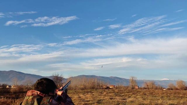 Лов на Патици смотреть онлайн