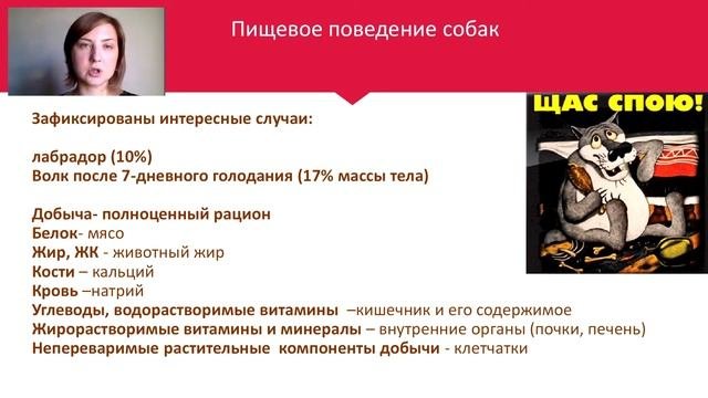 Ольга Косинова. Натуральные и готовые рационы, кормление, физиология пищеварения.