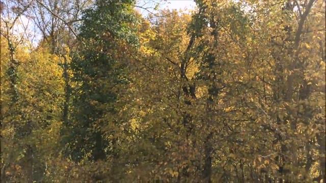 ОСЕНЬ в долине реки Жане. с.Возрождение.Геленджик