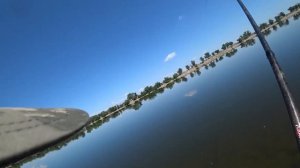 Ловля крупного карася на кукурузу