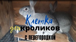 Клетка для кроликов с перегородкой. Удачный вариант для уличного содержания.