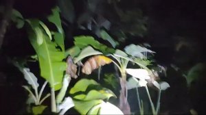 Live Misteri!!! Uji Nyali Di Tpu Angker (Ci Binbin)