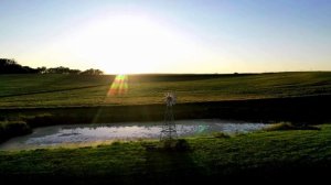 Выращивание хвойных саженцев как бизнес описание идеи