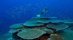 Райский остров Киритимати  Остров Рождества