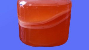 Чайный гриб польза и вред. Как надо делать напиток