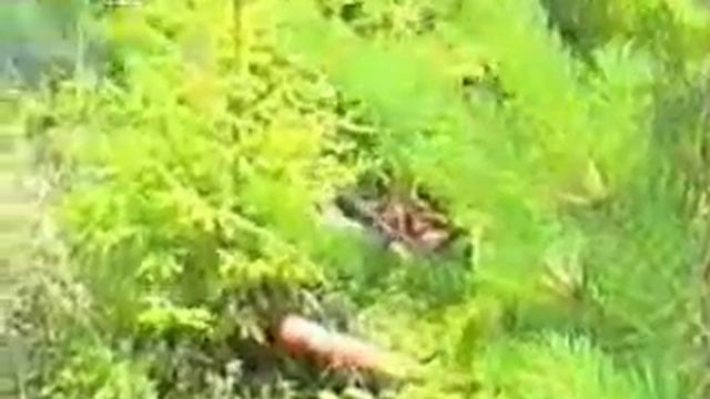 Рыцари 21 века 1 смотреть онлайн