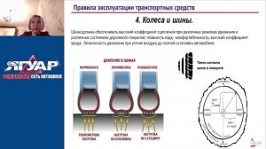 Светлана Писаревская