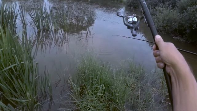 Ловим карасиков. 2017 год. смотреть онлайн