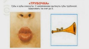 Артикуляционная гимнастика / Артикуляционное упражнение Трубочка Описание / Детский логопед