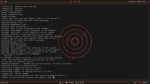 Debloat Your Debian/Ubuntu Based Distro With This Awesome Script!