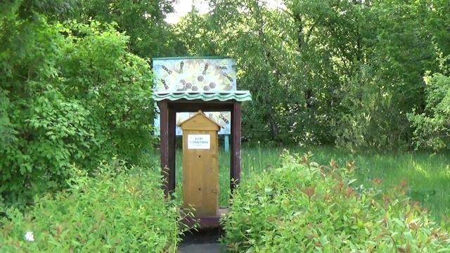 Улей Петра Прокоповича в Институте пчеловодства Киев Украина смотреть онлайн