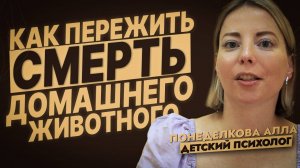Не стало моего домашнего животного - как помочь ребёнку справиться с потерей?