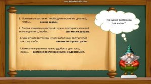 1 класс. Окружающий мир. Что общего у разных растений? Повторение