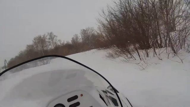 Прогулка на снегоходе Тайга Варяг 550 с немецкой овчаркой смотреть онлайн