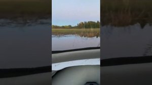 тестирование аэроустановки 13лс на жидкой воде в камышах.