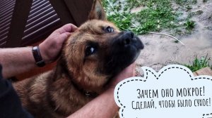 Стихийная распаковка с громом и молниями. Посылка от @yulia_cvetok с растениями