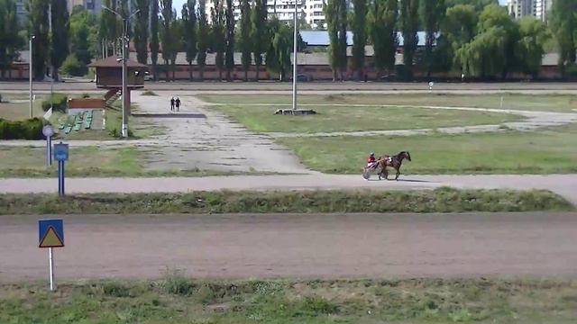 23.08.2015 Видео-онлайн трансляция ипподром Киев Ч.10 смотреть онлайн