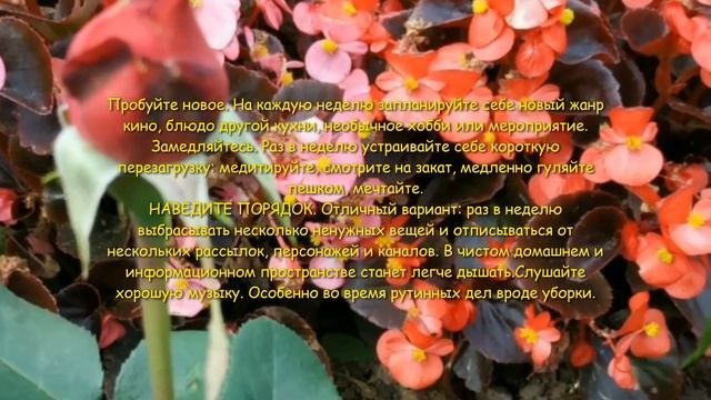 Как изменить свои привычки (полезные привычки меняют #качество жизни)