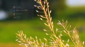 Автономия  Чудеса. На чистых днях без сна все проблемы решаются сами собой без вашего участия.