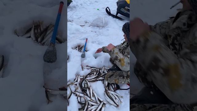 Вот такая рыбалка в городе Дудинка!!!