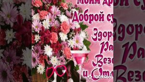 #суббота#хорошегодня# Хорошего субботнего дня.