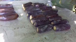 Квашеные баклажаны на зиму...Как правильно отварить.1 часть. (  ПЛЕЙЛИСТ  ...1, 2, 3 часть)