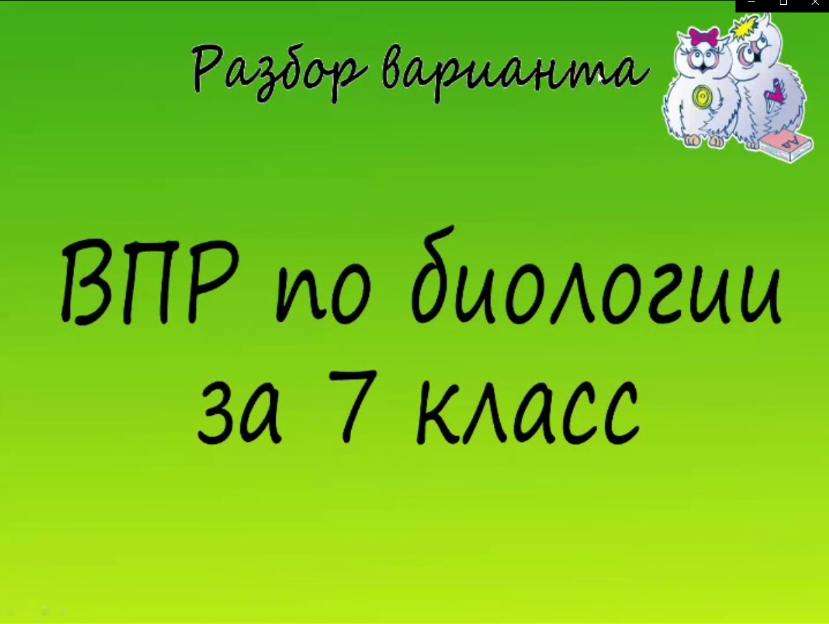 Биология. Разбор варианта ВПР по биологии 7 класс. Вариант 1